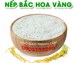 Nếp Bắc Hoa Vàng